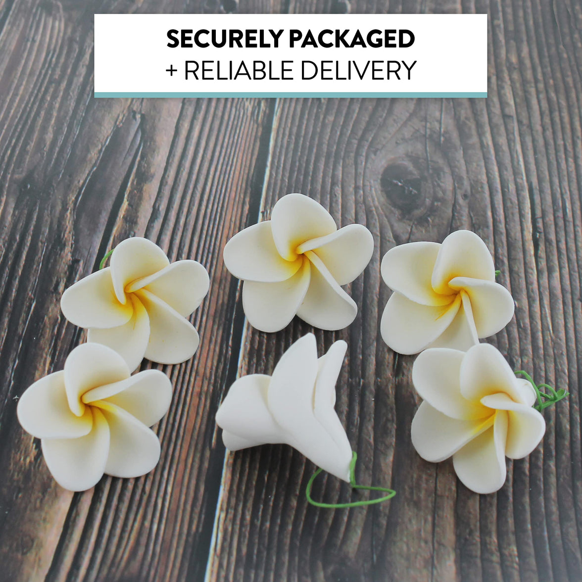 Global Sugar Art Tropical Frangipani Plumeria Sugar Cake Flowers, White 20 Count by Chef Alan Tetreault