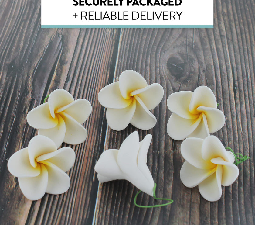 Global Sugar Art Tropical Frangipani Plumeria Sugar Cake Flowers, White 20 Count by Chef Alan Tetreault