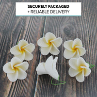 Global Sugar Art Tropical Frangipani Plumeria Sugar Cake Flowers, White 20 Count by Chef Alan Tetreault