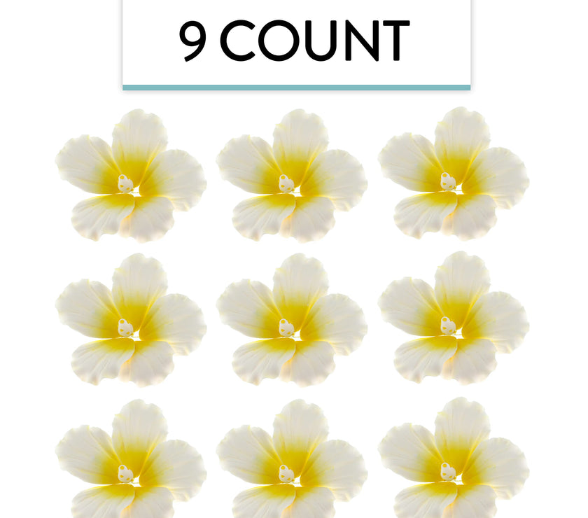 Hibiscus Sugar Cake Flowers, White and Yellow Tropical Sugar Flowers, by Global Sugar Art