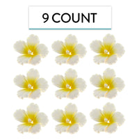 Hibiscus Sugar Cake Flowers, White and Yellow Tropical Sugar Flowers, by Global Sugar Art