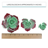 Global Sugar Art Succulent Taurus Sugar Cake Flowers Assortment with Wire, 3 Count by Chef Alan Tetreault