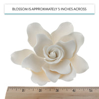 Gardenia Sugar Cake Flowers, White, 8 Count by Global Sugar Art