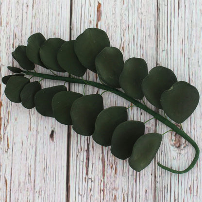 Green Eucalyptus, 5 Count
