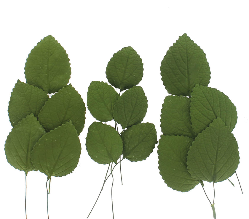 Hydrangea Leaves, Gum Paste Cake Decorations by Global Sugar Art, Green, Multiple Sizes