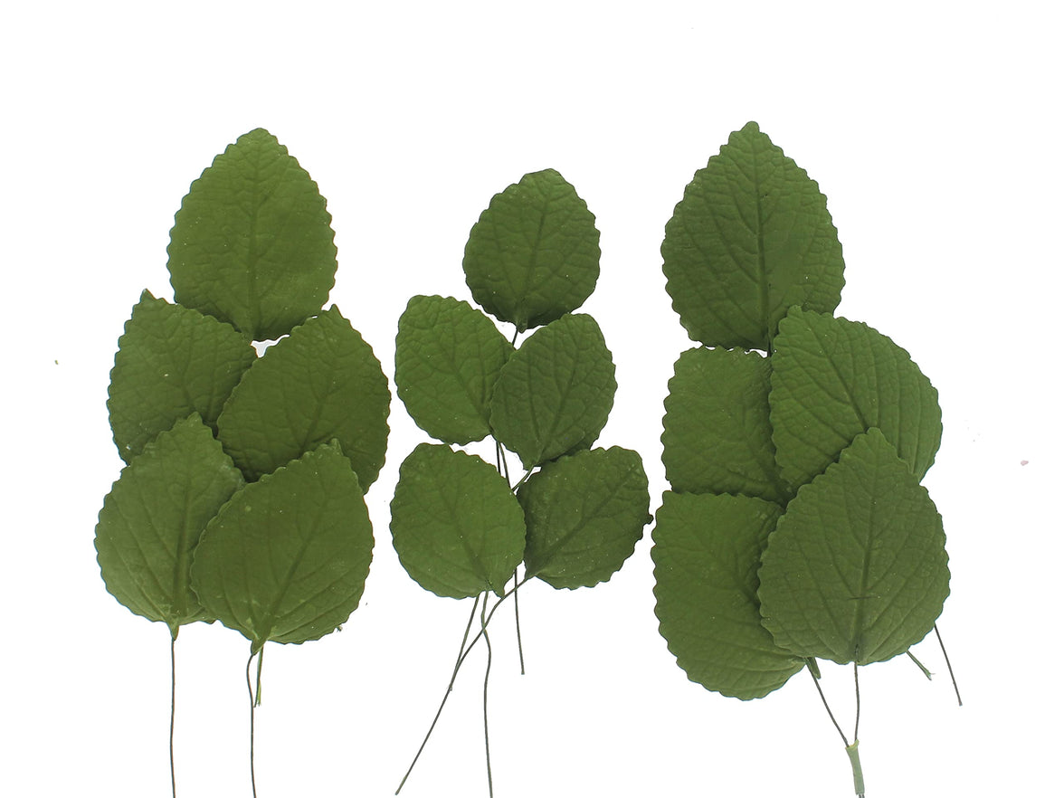 Hydrangea Leaves, Gum Paste Cake Decorations by Global Sugar Art, Green, Multiple Sizes