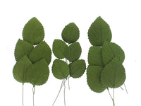 Hydrangea Leaves, Gum Paste Cake Decorations by Global Sugar Art, Green, Multiple Sizes