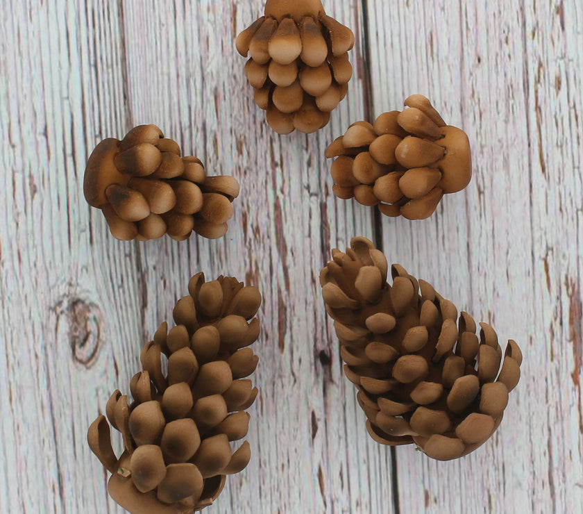 Global Sugar Art Pinecone Assortment Sugar Cake Flowers, 5 Count by Chef Alan Tetreault