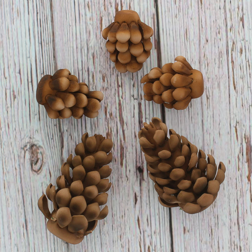 Global Sugar Art Pinecone Assortment Sugar Cake Flowers, 5 Count by Chef Alan Tetreault