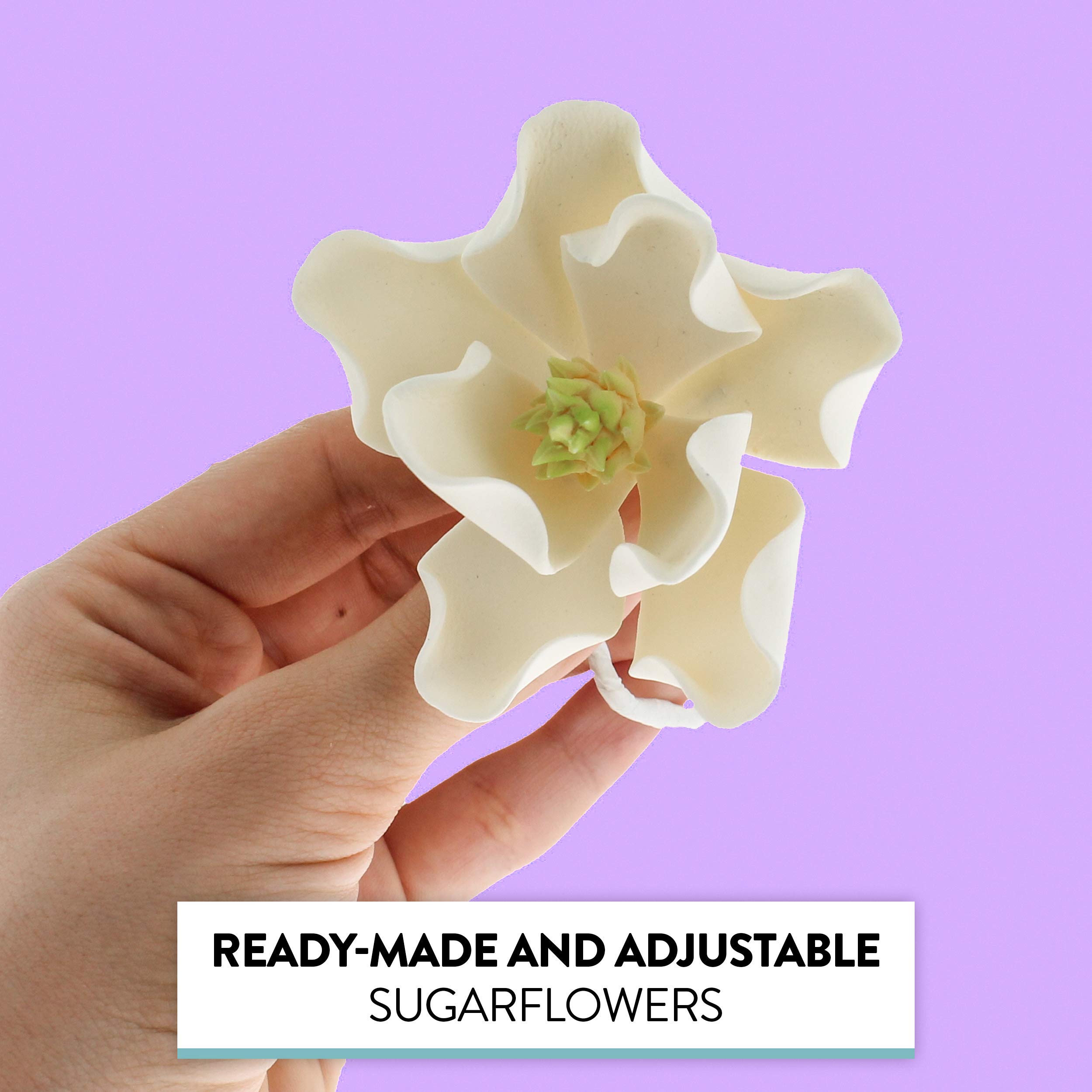 Magnolia Blossom Sugar Cake Flowers by Global Sugar Art, White, Large, 3 Count