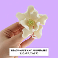 Magnolia Blossom Sugar Cake Flowers by Global Sugar Art, White, Large, 3 Count