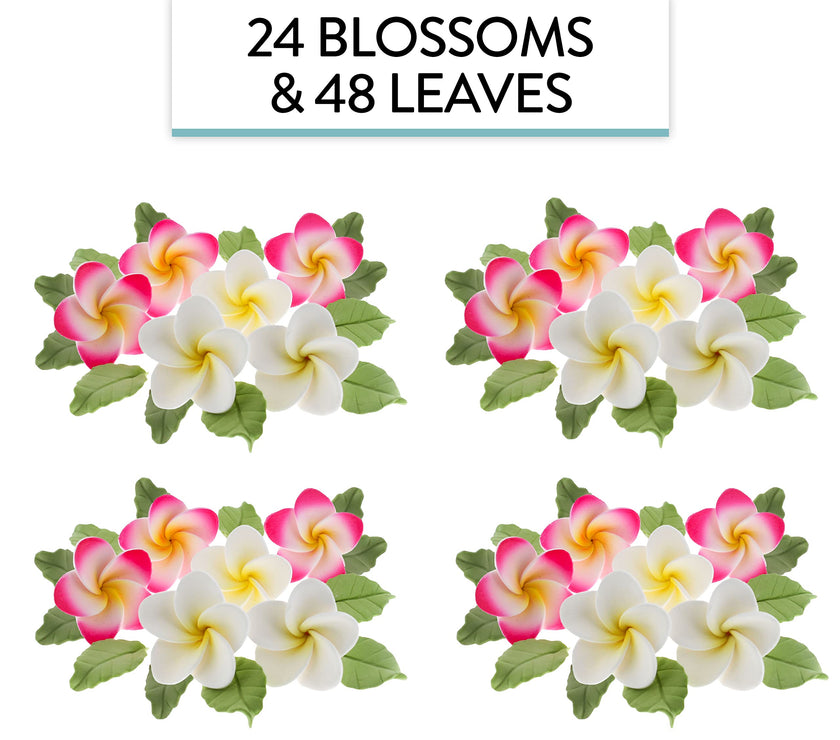 Frangipani with Leaves Gum Paste Cake Flowers 24 Count Sugar Flowers by Global Sugar Art