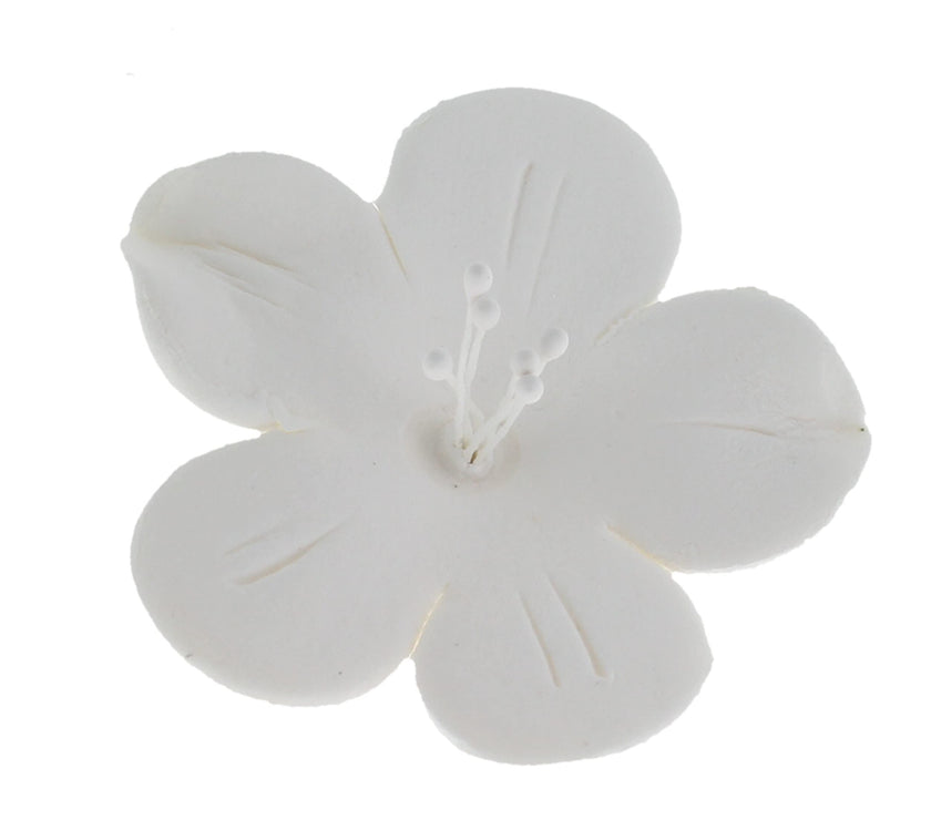 Global Sugar Art Fruit Blossom Sugar Cake Flowers by Chef Alan Tetreault
