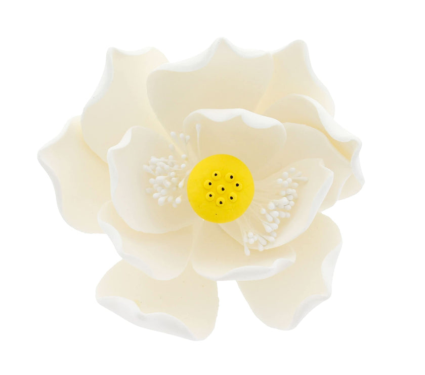 Global Sugar Art Lotus Blossom Sugar Cake Flowers White Jumbo, 1 Count by Chef Alan Tetreault