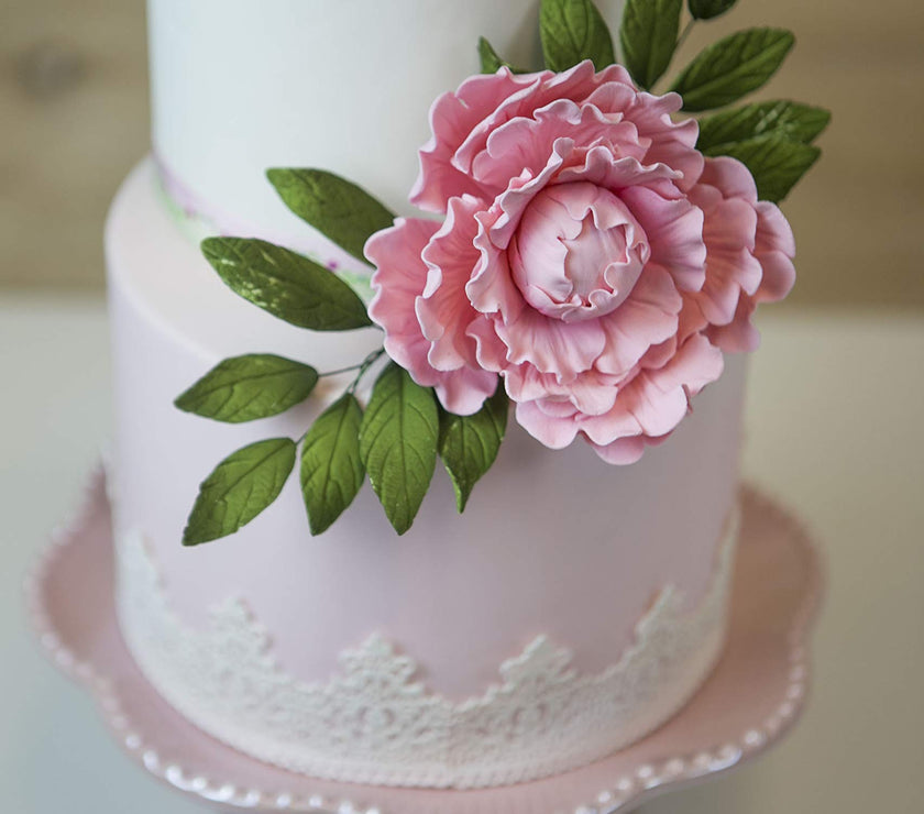 Premium Peony Sugar Flower by Global Sugar Art, Pink