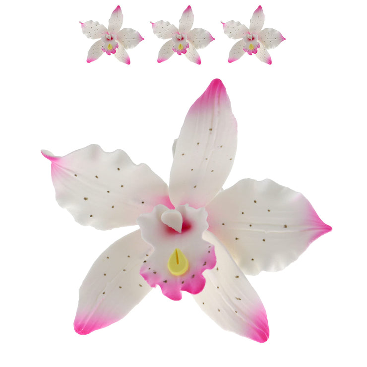 Orchid Sugar Cake Flowers, Brassavola Style Orchids, by Global Sugar Art, 3 Count, Pink