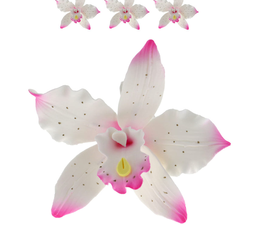Orchid Sugar Cake Flowers, Brassavola Style Orchids, by Global Sugar Art, 3 Count, Pink