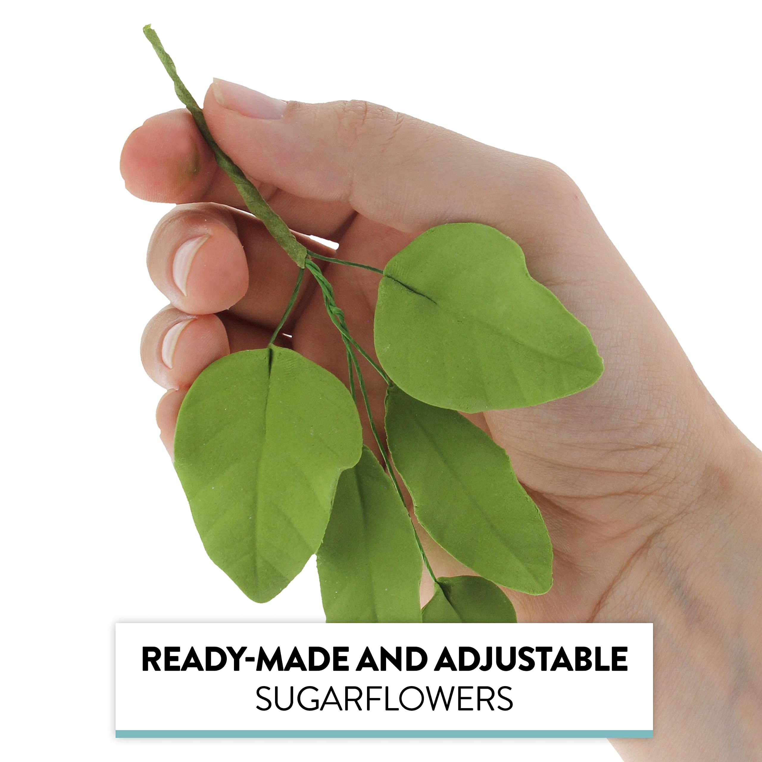 Light Green Gardenia Leaf Spray Cake Decoration by Chef Alan Tetreault, Global Sugar Art, 4 Count