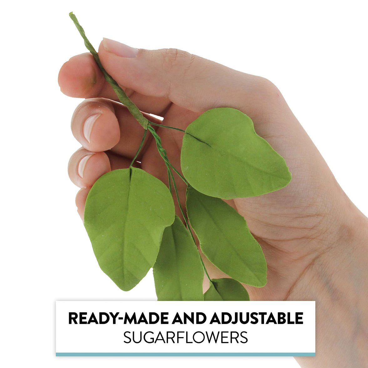 Light Green Gardenia Leaf Spray Cake Decoration by Chef Alan Tetreault, Global Sugar Art, 4 Count