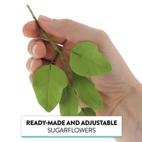 Light Green Gardenia Leaf Spray Cake Decoration by Chef Alan Tetreault, Global Sugar Art, 4 Count