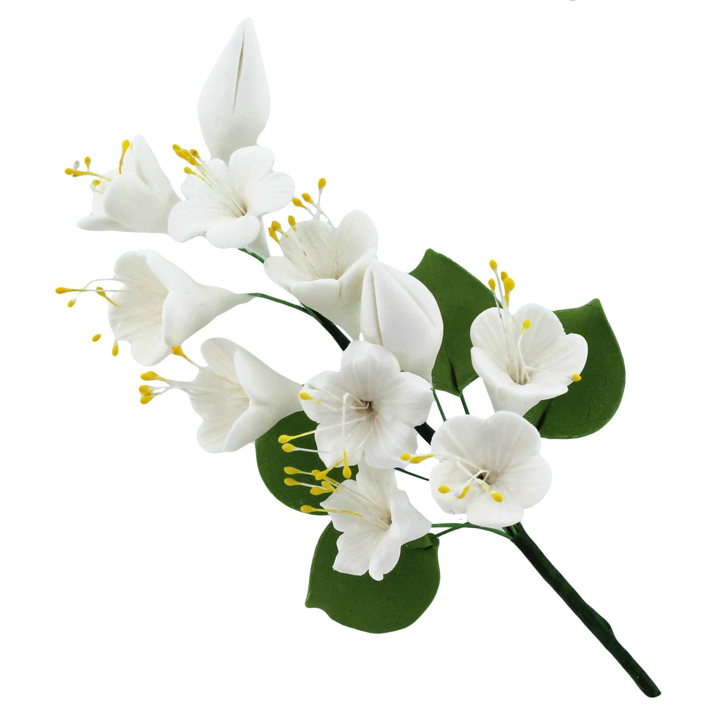 White Cherry Blossoms with Leaves Spray
