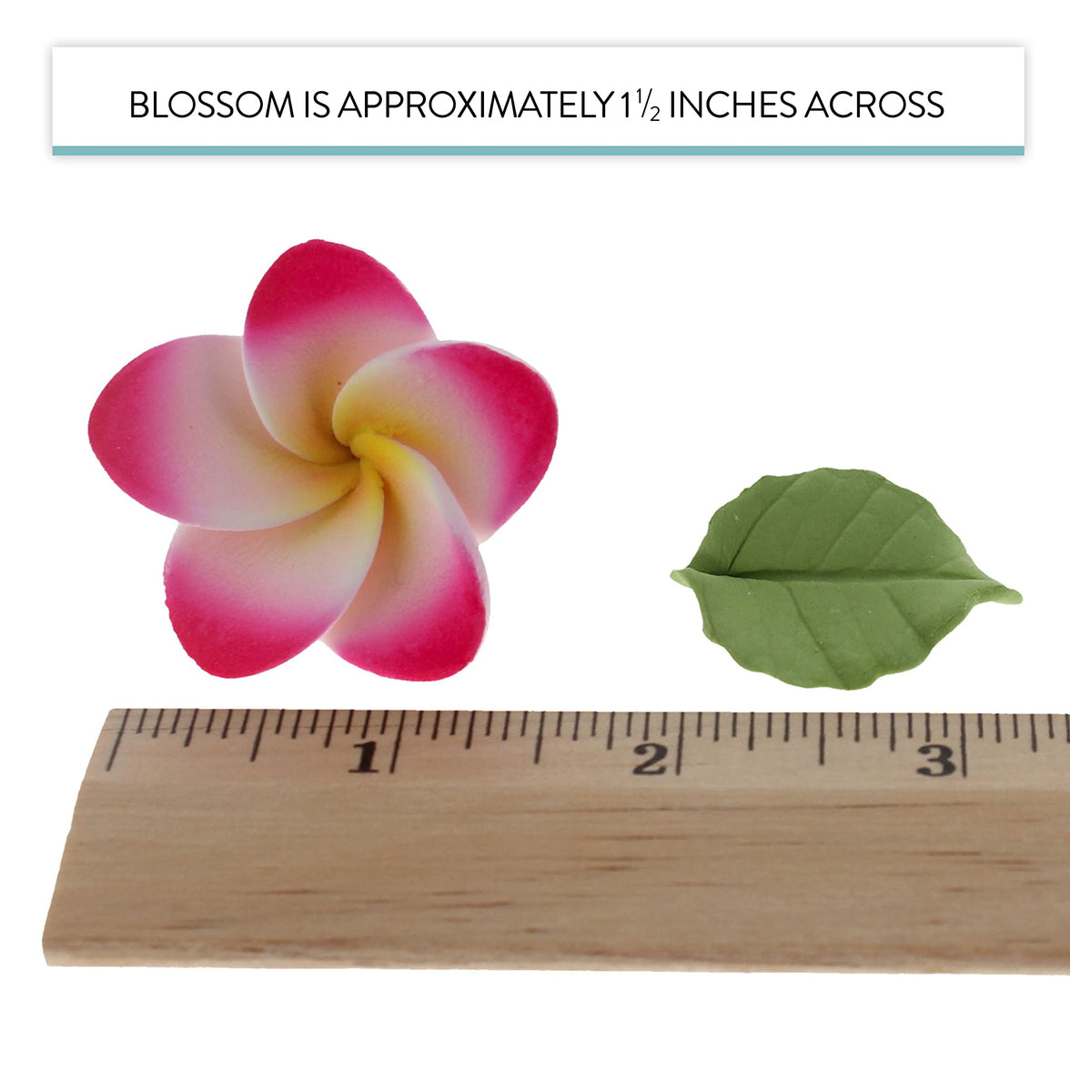 Frangipani with Leaves Gum Paste Cake Flowers 24 Count Sugar Flowers by Global Sugar Art