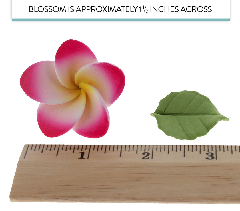 Frangipani with Leaves Gum Paste Cake Flowers 24 Count Sugar Flowers by Global Sugar Art