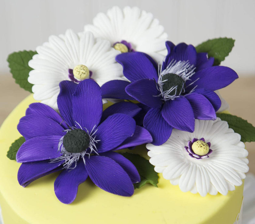 Global Sugar Art Gerbera Daisy Sugar Cake Flowers, Mixed Colors, 8 Count by Chef Alan Tetreault