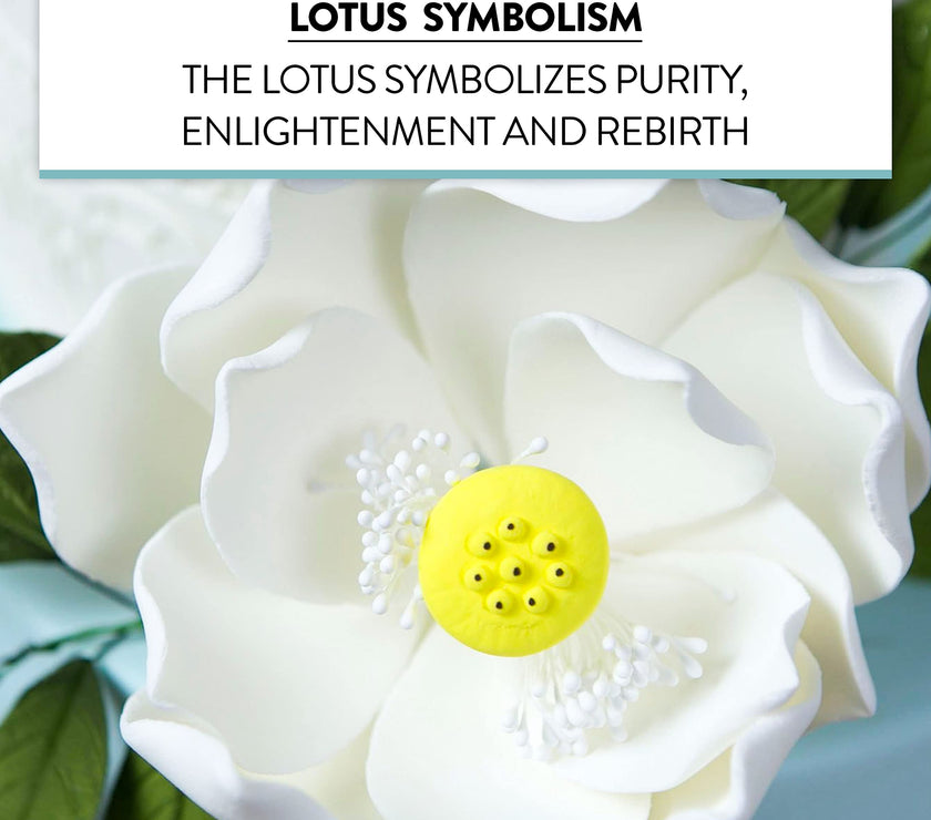 Global Sugar Art Lotus Blossom Sugar Cake Flowers White Jumbo, 1 Count by Chef Alan Tetreault