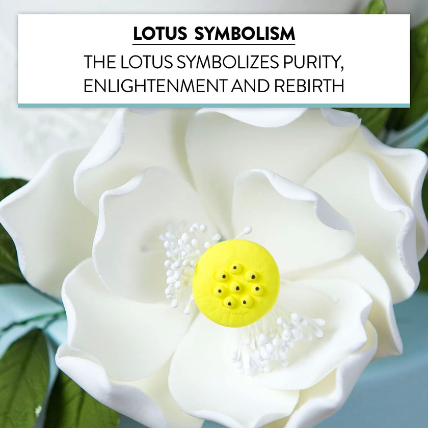 Global Sugar Art Lotus Blossom Sugar Cake Flowers White Jumbo, 1 Count by Chef Alan Tetreault