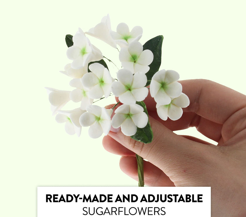 Stephanotis Spray Sugar Cake Flowers, by Global Sugar Art, White