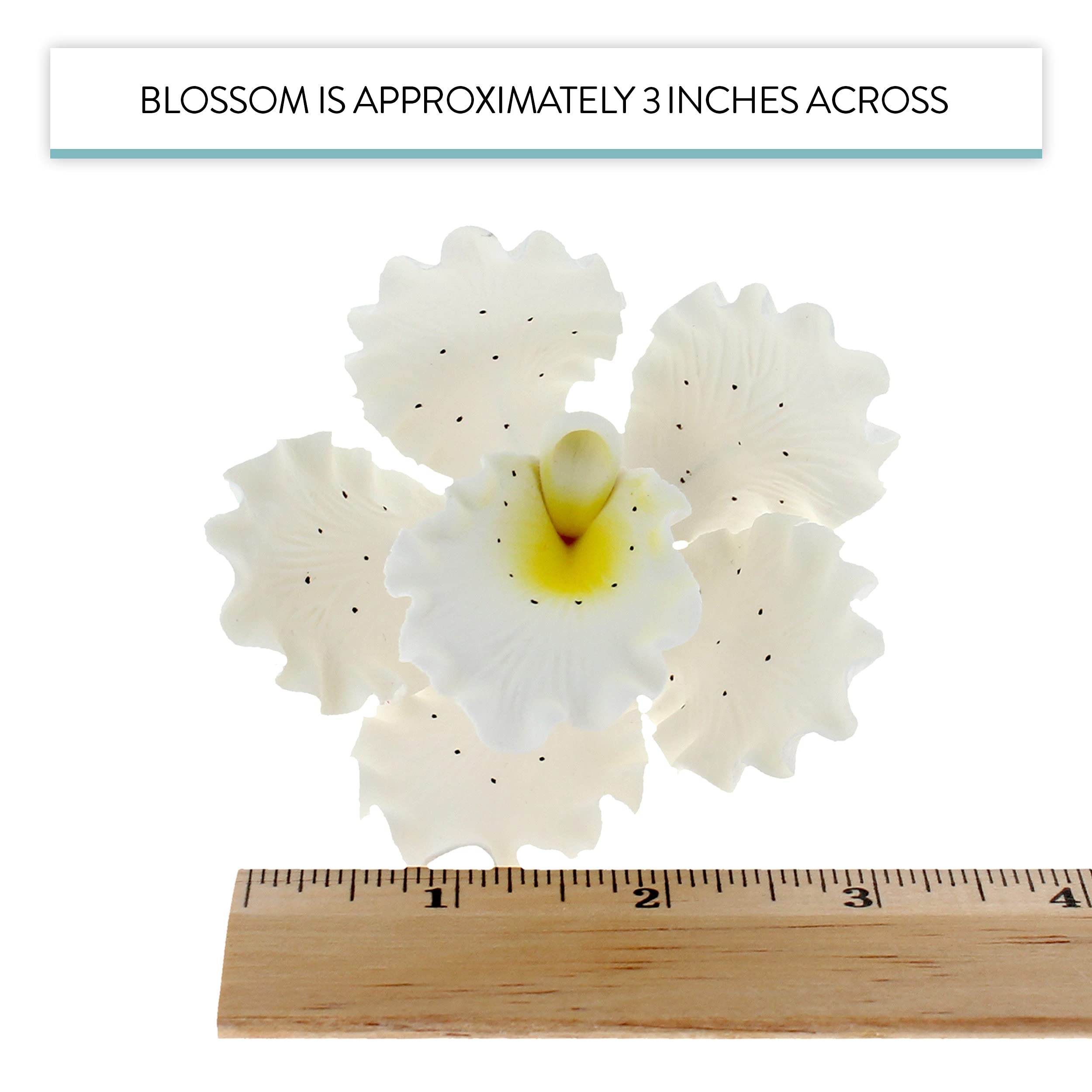 Orchid Sugar Cake Flowers, Cattleya Orchids, by Global Sugar Art, Large, White, 3 Count