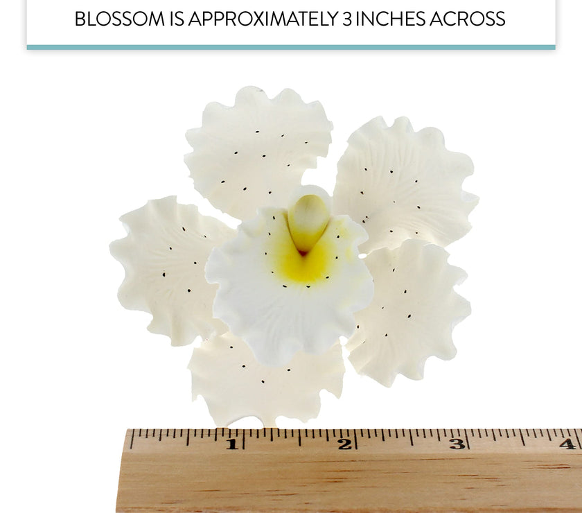 Orchid Sugar Cake Flowers, Cattleya Orchids, by Global Sugar Art, Large, White, 3 Count