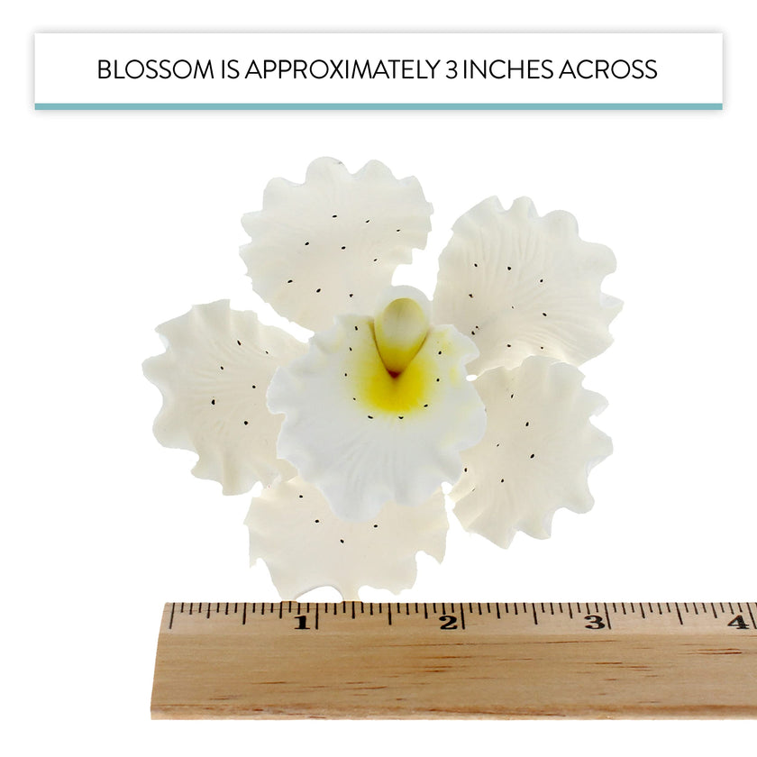 Orchid Sugar Cake Flowers, Cattleya Orchids, by Global Sugar Art, Large, White, 3 Count