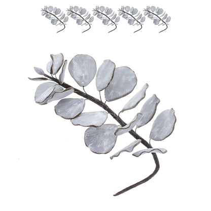 Silver Eucalyptus, 5 Count