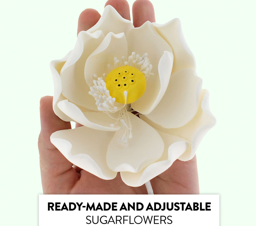 Global Sugar Art Lotus Blossom Sugar Cake Flowers White Jumbo, 1 Count by Chef Alan Tetreault