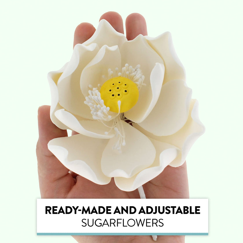 Global Sugar Art Lotus Blossom Sugar Cake Flowers White Jumbo, 1 Count by Chef Alan Tetreault