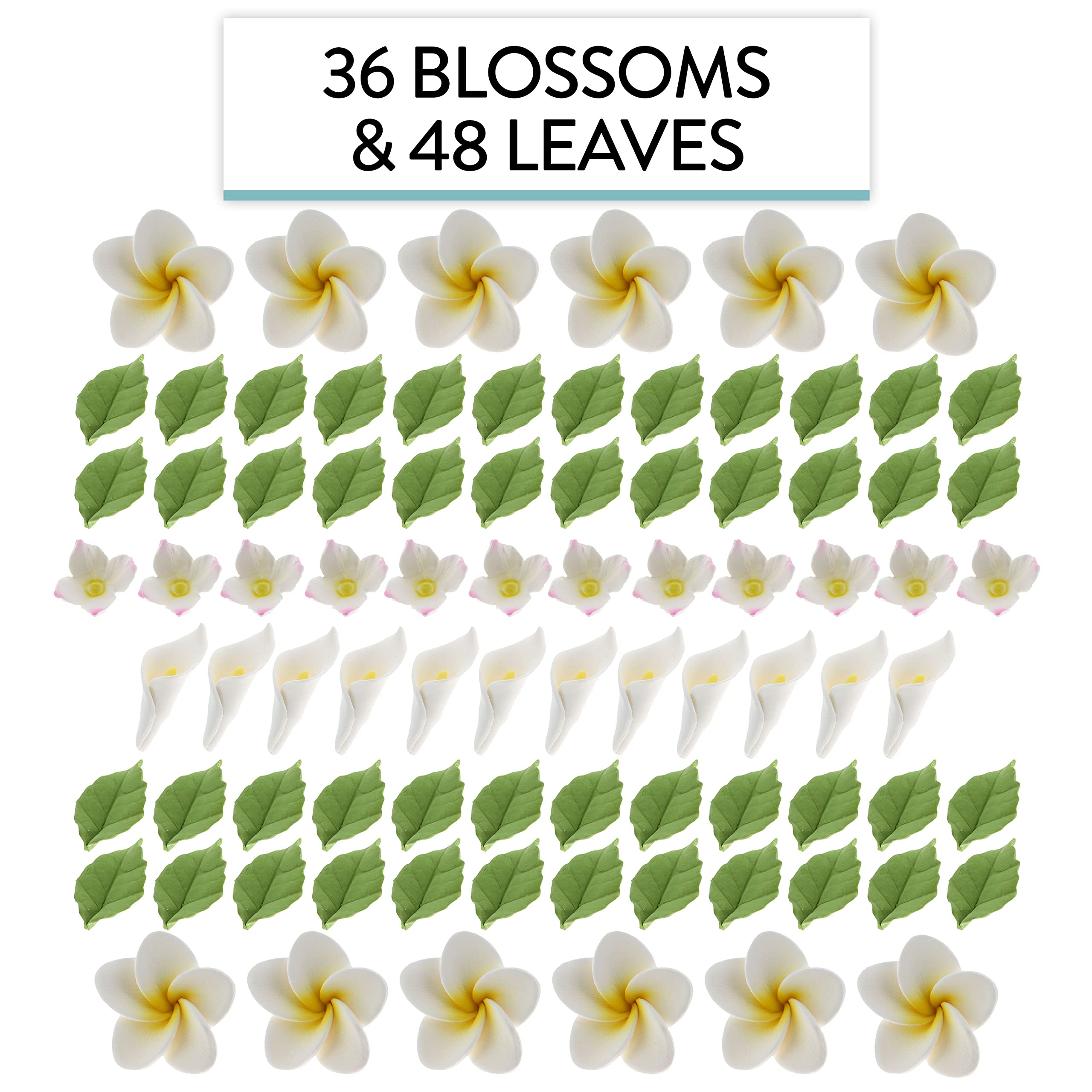 Tropical Flower Kit with Leaves, Gum Paste Frangipani Plumeria Cake Flowers, 36 Count Set, by Global Sugar Art