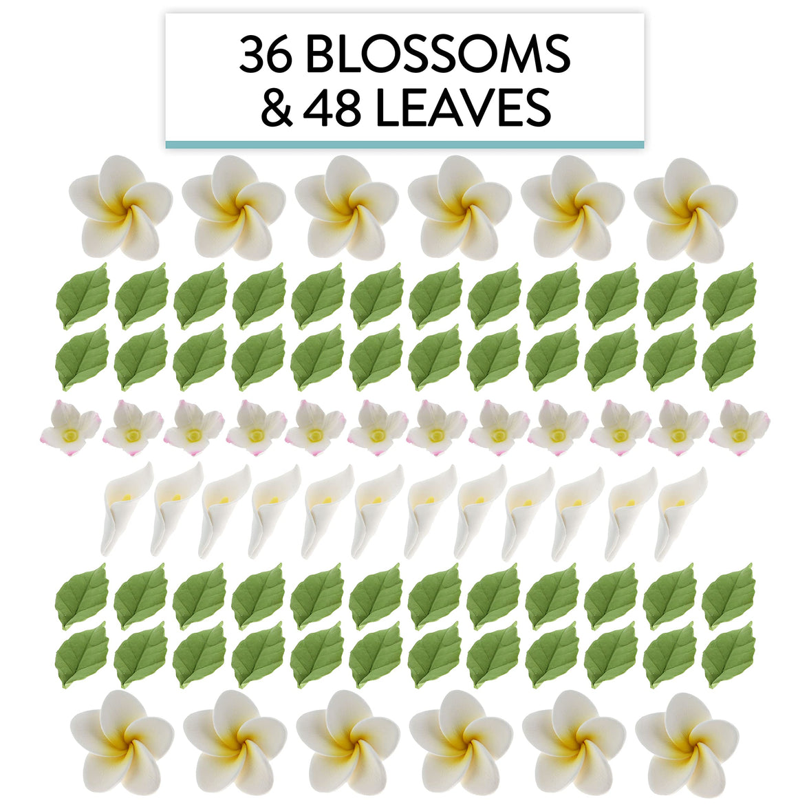 Tropical Flower Kit with Leaves, Gum Paste Frangipani Plumeria Cake Flowers, 36 Count Set, by Global Sugar Art