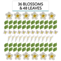 Tropical Flower Kit with Leaves, Gum Paste Frangipani Plumeria Cake Flowers, 36 Count Set, by Global Sugar Art