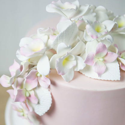 White Hydrangea Leaves