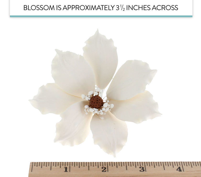 Clematis Gum Paste Sugar Cake Flowers by Global Sugar Art, White, 3 Count