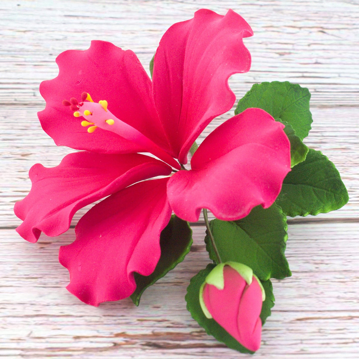 Pink Tropical Hibiscus with Leaves