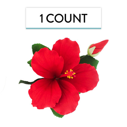 Red Tropical Hibiscus with Leaves