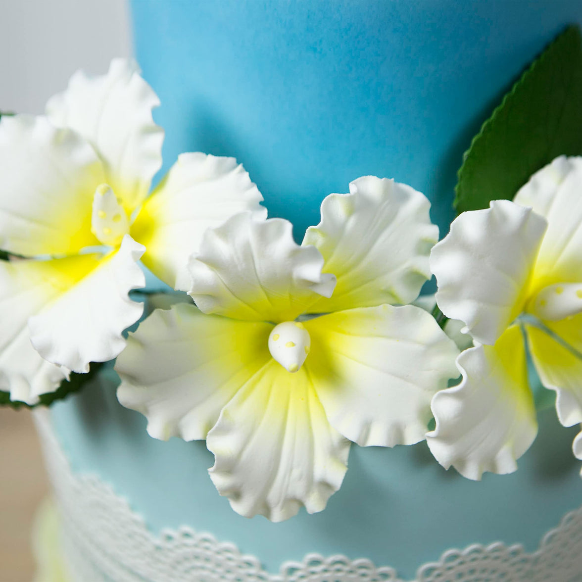 Hibiscus Sugar Cake Flowers, White and Yellow Tropical Sugar Flowers, by Global Sugar Art