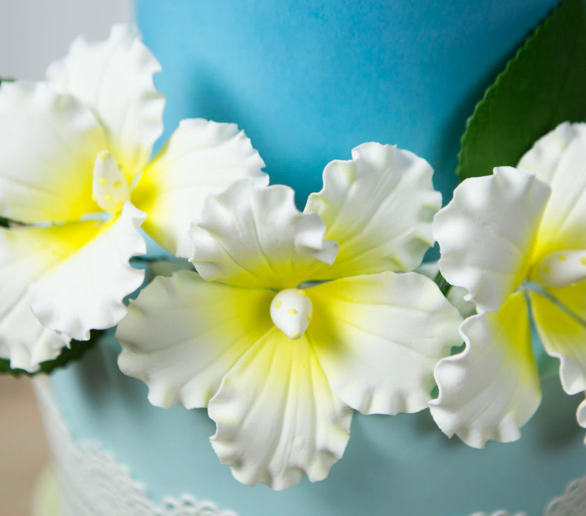 Hibiscus Sugar Cake Flowers, White and Yellow Tropical Sugar Flowers, by Global Sugar Art