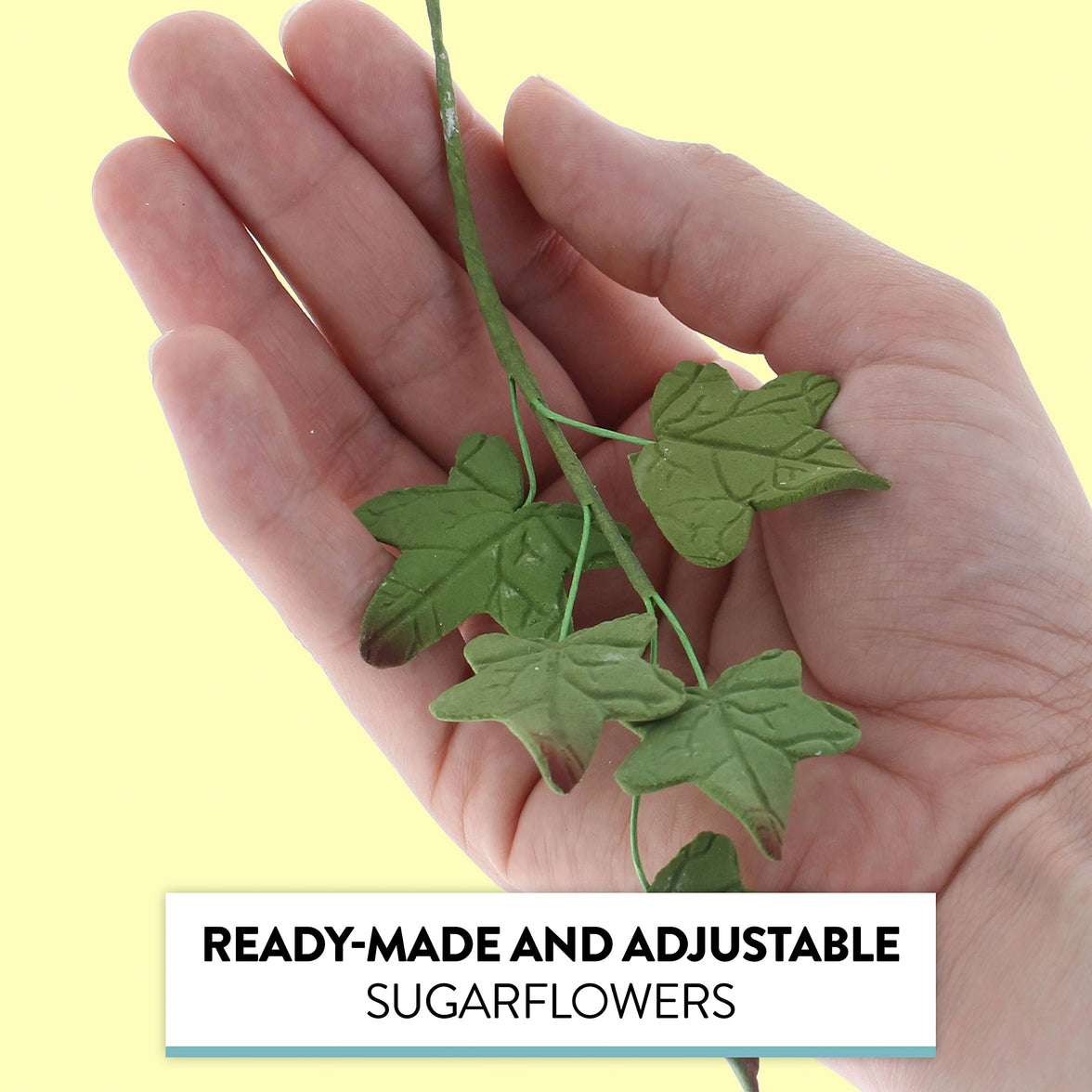 Ivy Leaf  Spray  Cake Decoration by Chef Alan Tetreault, Global Sugar Art, 5 Count