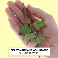 Ivy Leaf  Spray  Cake Decoration by Chef Alan Tetreault, Global Sugar Art, 5 Count