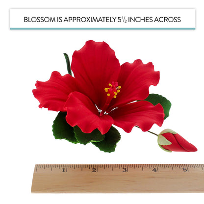 Red Tropical Hibiscus with Leaves