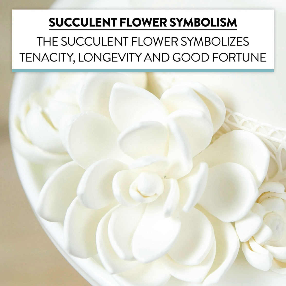 Global Sugar Art Succulent Opalina Sugar Cake Flowers White with Wire, 3 Count by Chef Alan Tetreault